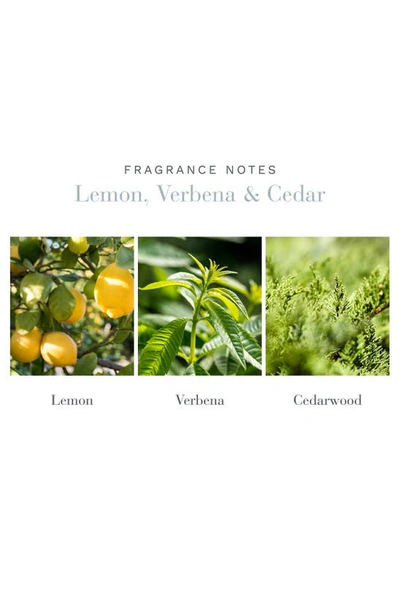 Shop Antica Farmacista Lemon, Verbena & Cedar Home Ambiance Perfume