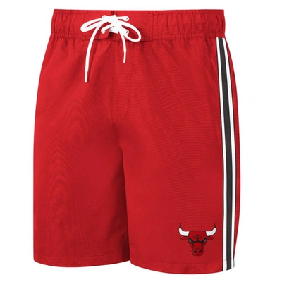 Shop G-iii Sports By Carl Banks Red Chicago Bulls Sand Beach Volley Swim Shorts