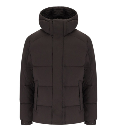 Shop Save The Duck Narcissus Brown Hooded Padded Jacket