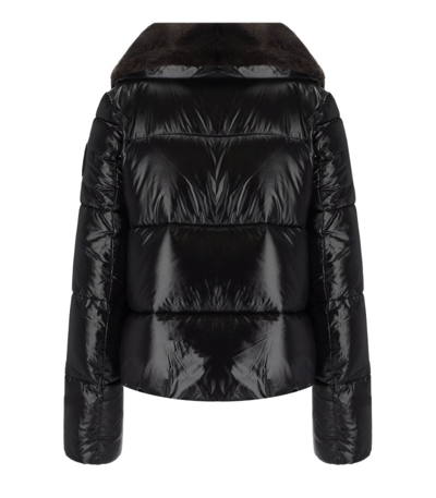 Shop Save The Duck Moma Black Cropped Padded Jacket