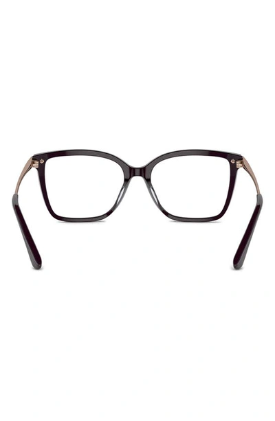 Michael Kors Shenandoah 53mm Square Optical Glasses In Cordovan