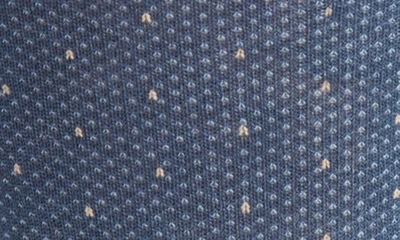 Shop Edward Armah Polka Dot Pima Cotton Blend Dress Socks In Steel Blue