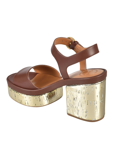 Shop Chloé Odina Leather Sandals In Brown