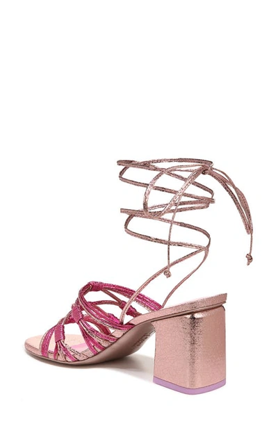 Shop Circus Ny By Sam Edelman Oriana Ankle Wrap Sandal In Pink Multi