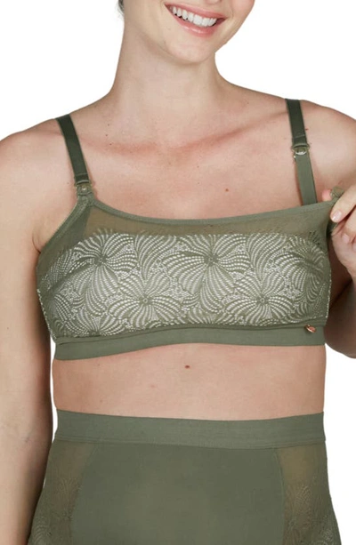 Shop Cache Coeur Dahlia Maternity/nursing Bra In Khaki