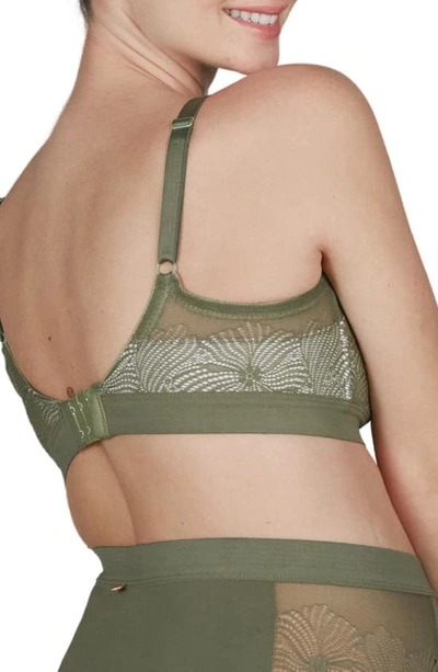 Shop Cache Coeur Dahlia Maternity/nursing Bra In Khaki