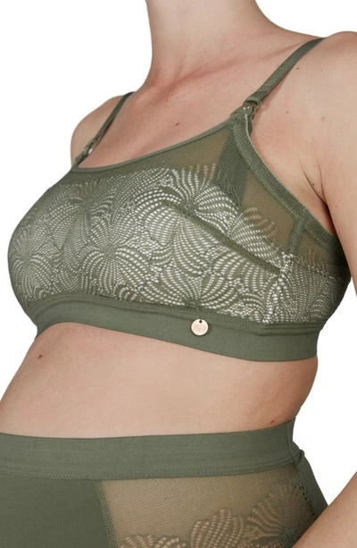 Shop Cache Coeur Dahlia Maternity/nursing Bra In Khaki