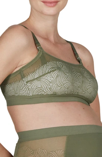 Shop Cache Coeur Dahlia Maternity/nursing Bra In Khaki