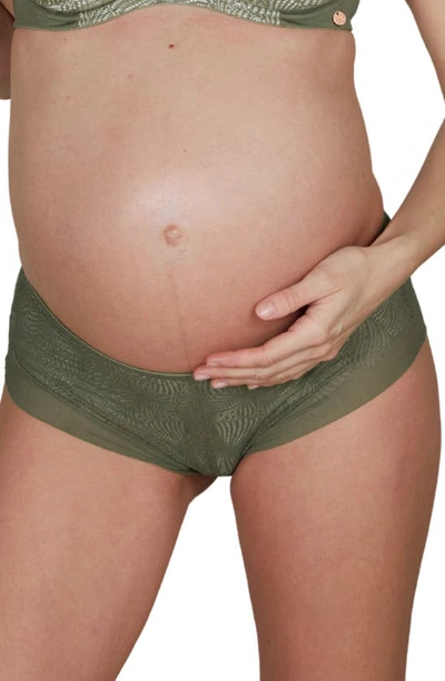 Shop Cache Coeur Dahlia Maternity Briefs In Khaki