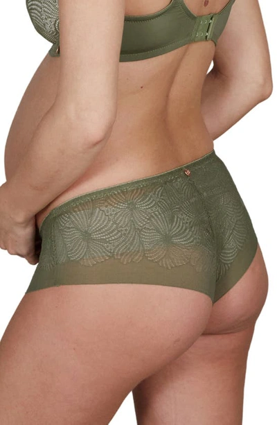 Cache Coeur Dahlia Maternity Briefs In Khaki