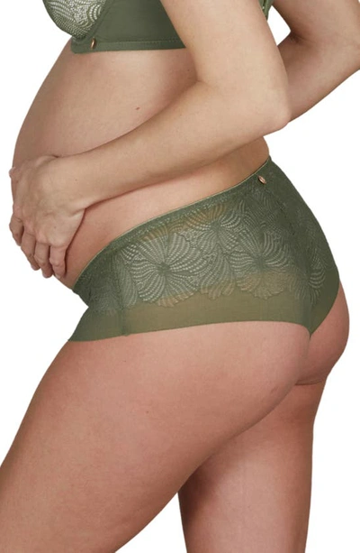 Cache Coeur Dahlia Maternity Briefs In Khaki