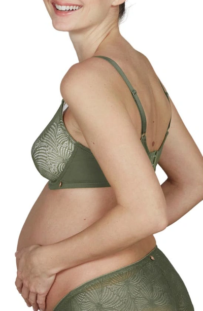 Shop Cache Coeur Dahlia Maternity/nursing Bra In Khaki