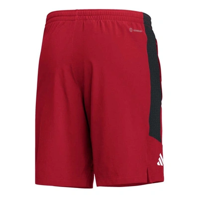 Shop Adidas Originals Adidas Red Nc State Wolfpack Aeroready Shorts