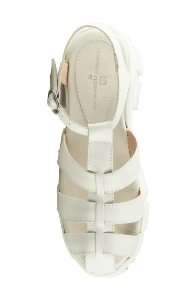 Shop Sandro Moscoloni Caged Platform Sandal In White