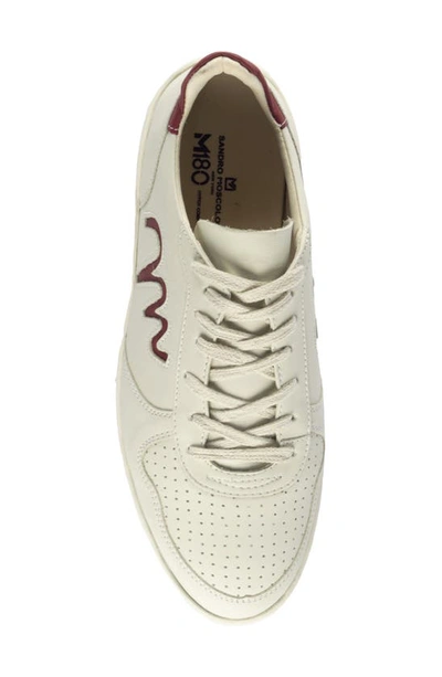 Shop Sandro Moscoloni Perforated Low Top Sneaker In White/ Red