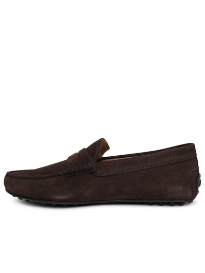 Shop Tod's Brown Suede Loafers Man