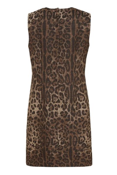Shop Dolce & Gabbana Wool Midi Dress In Animalier