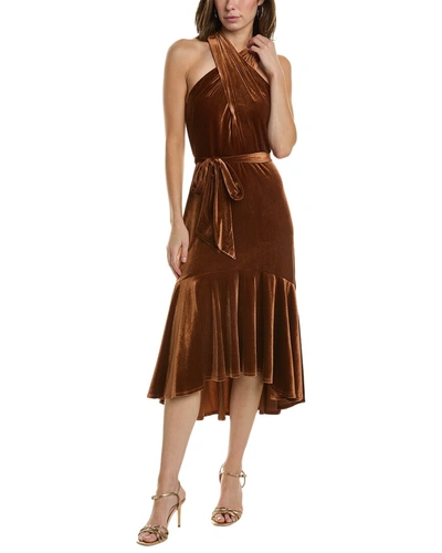 Shop Taylor Velvet Dress In Brown