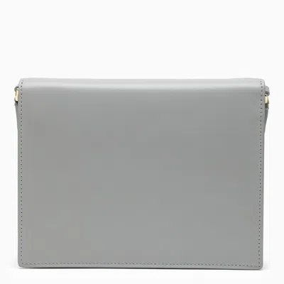 Shop Dolce & Gabbana Dolce&gabbana Grey Leather Camera Bag With A Shoulder Strap