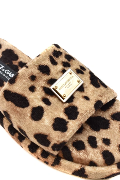 Shop Dolce & Gabbana Sandals In Animalier