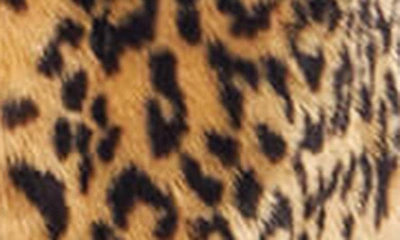 Donna Salyers Fabulous-furs Roam Free Leopard Print Faux Fur Coat In Multi