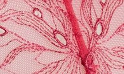 Shop Bluebella Astra Harness Garter Belt In Fuchsia Pink