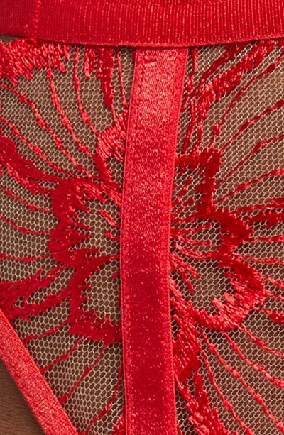 Shop Bluebella Catalina Embroidered Mesh Garter Belt In Tomato Red/ Sheer
