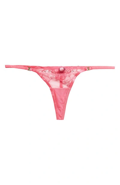 Shop Bluebella Astra Embroidered Mesh Thong In Fuchsia Pink