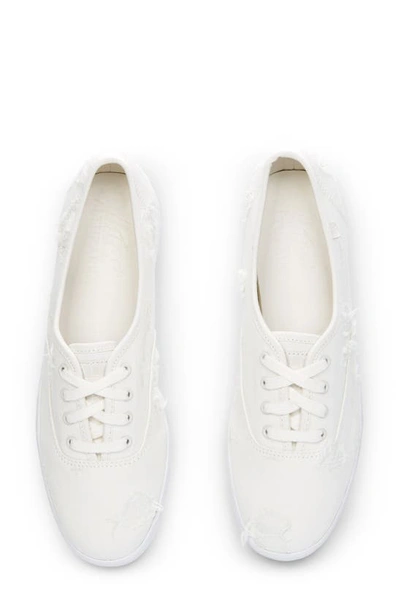 Shop Keds X Altuzarra Champion Sneaker In White Textile