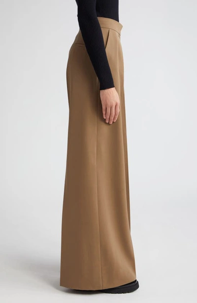 Shop Max Mara Libbra Pleated Wide Leg Virgin Wool & Mohair Pants In Mud