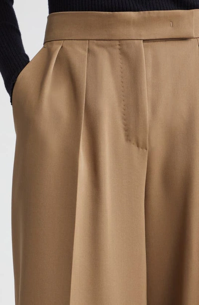 Shop Max Mara Libbra Pleated Wide Leg Virgin Wool & Mohair Pants In Mud