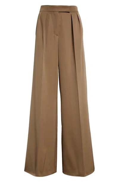 Shop Max Mara Libbra Pleated Wide Leg Virgin Wool & Mohair Pants In Mud