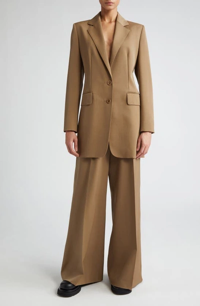 Shop Max Mara Caprile Wool & Mohair Long Blazer In Mud