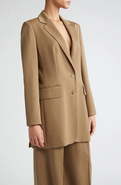 Shop Max Mara Caprile Wool & Mohair Long Blazer In Mud