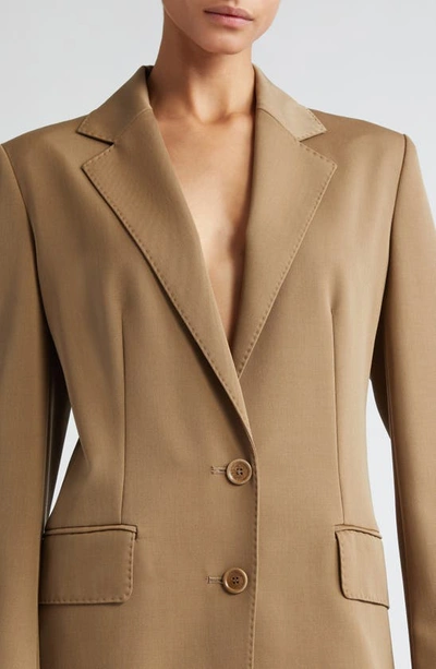 Shop Max Mara Caprile Wool & Mohair Long Blazer In Mud