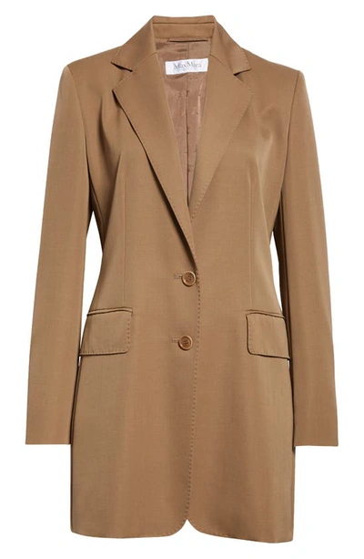 Shop Max Mara Caprile Wool & Mohair Long Blazer In Mud