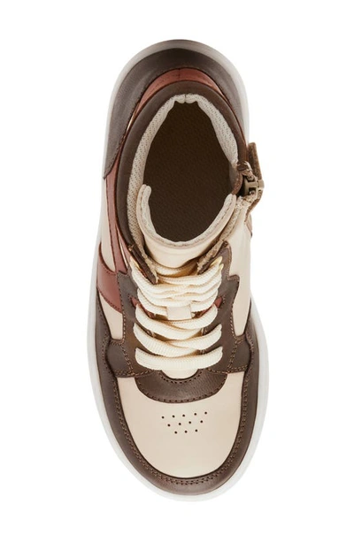 Steve Madden Krane High Top Sneaker In Brown Multi