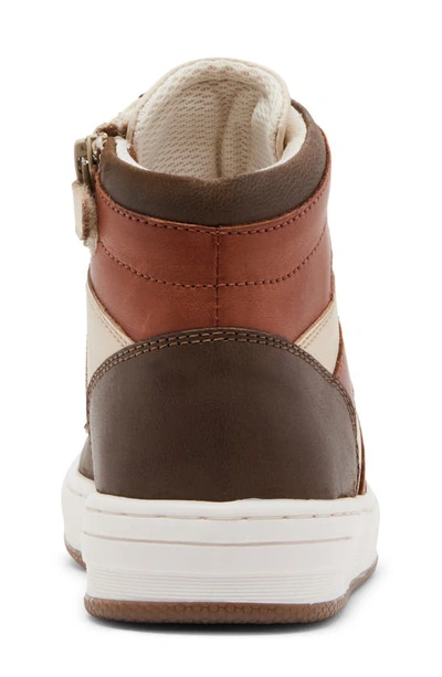 Steve Madden Krane High Top Sneaker In Brown Multi