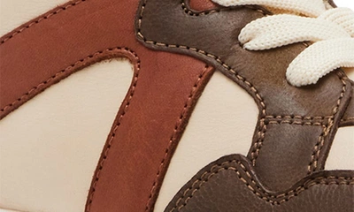 Steve Madden Krane High Top Sneaker In Brown Multi