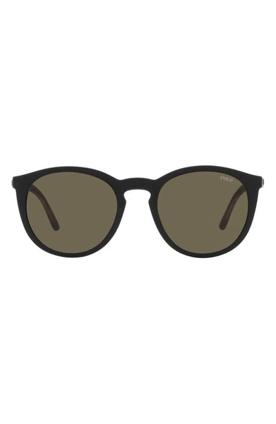 Polo 50mm Phantos Optical Glasses In Matte Havana