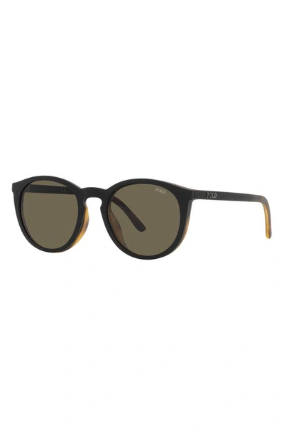 Polo 50mm Phantos Optical Glasses In Matte Havana