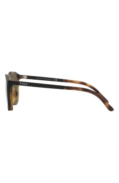 Polo 50mm Phantos Optical Glasses In Matte Havana