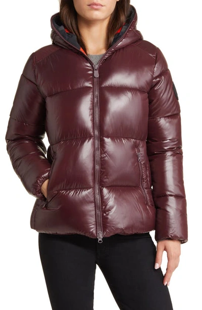 Shop Save The Duck Lois Water Repellent Puffer Jacket In Burgundy Black