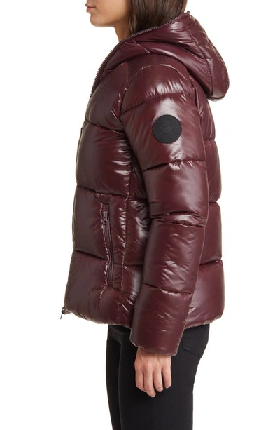 Shop Save The Duck Lois Water Repellent Puffer Jacket In Burgundy Black
