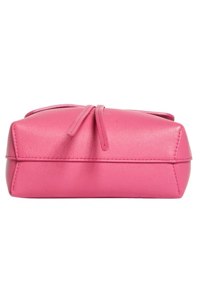 Shop Mansur Gavriel Mini Soft Lady Leather Bag In Z/dnudolly