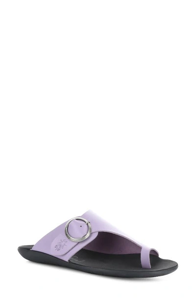 Shop Fly London Mica Slide Sandal In Violet Brooklyn