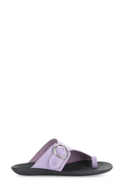 Shop Fly London Mica Slide Sandal In Violet Brooklyn