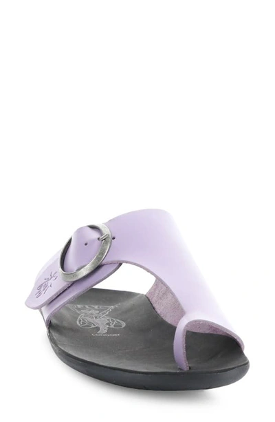 Shop Fly London Mica Slide Sandal In Violet Brooklyn