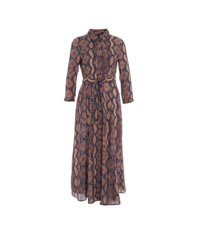 Warehouse snake outlet print shirt dress