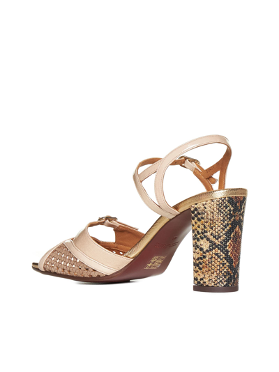 Shop Chie Mihara Sandals In Ferrarisandantetoast